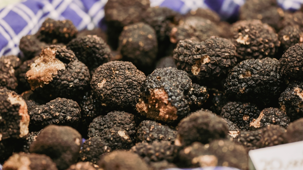 Explore,The,Alba,Truffle,Festival,In,Italy,,Featuring,Gourmet,Treats